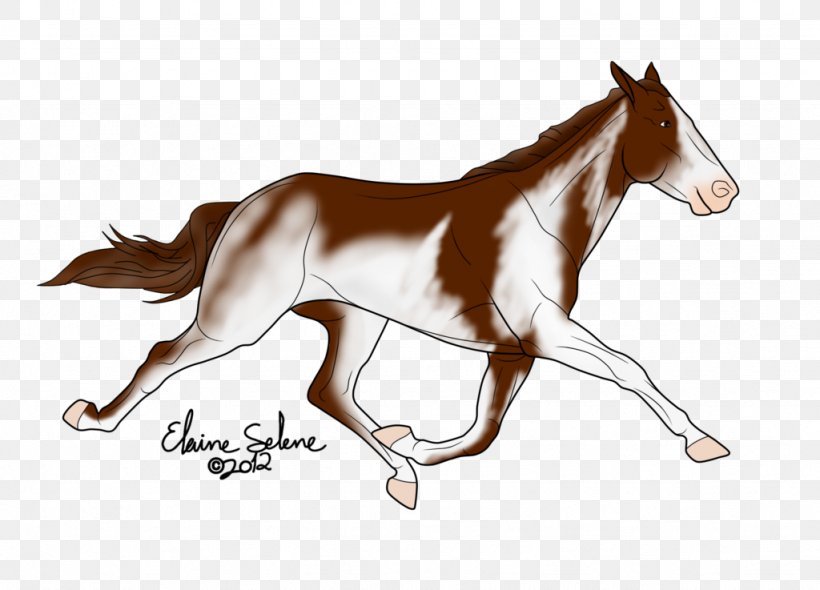 Foal Mane Stallion Mustang Mare, PNG, 1024x737px, Foal, Bridle, Colt, Florida Kraze Krush Soccer Club, Halter Download Free