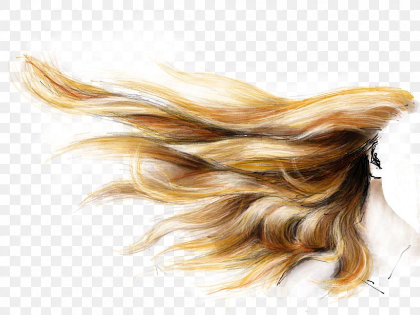 Hair Coloring Brown Hair Human Hair Color Blond, PNG, 1000x750px, Hair, Blond, Brown, Brown Hair, Color Download Free