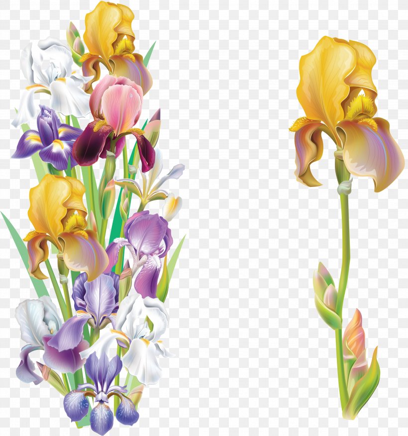 Iris Versicolor Iris Flower Data Set Clip Art, PNG, 4671x5000px, Iris Versicolor, Crocus, Cut Flowers, Drawing, Floral Design Download Free