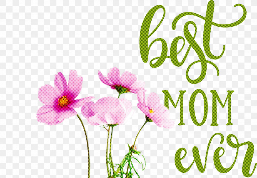 Mothers Day Best Mom Ever Mothers Day Quote, PNG, 3000x2083px, Mothers Day, Best Mom Ever, Idea, Image Editing, Language Download Free