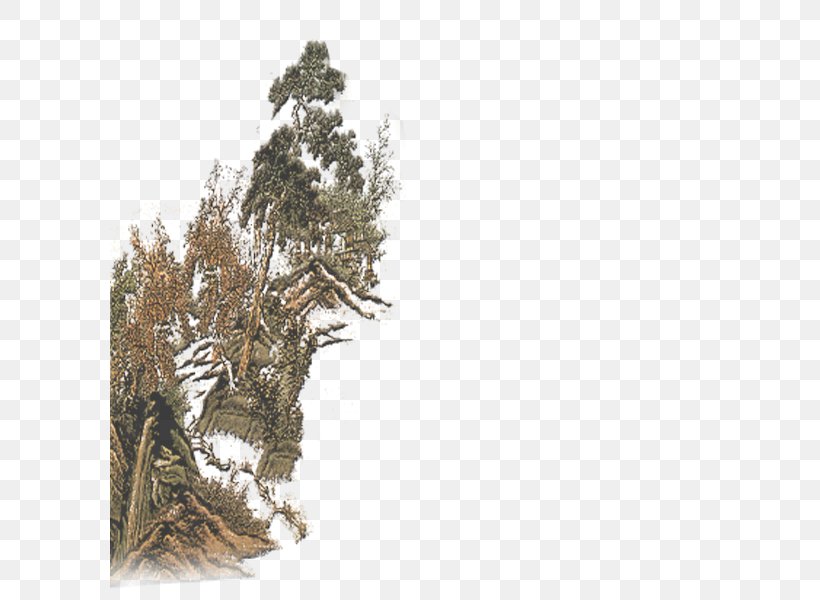 Pine, PNG, 600x600px, Pine, Branch, Grass, Landscape, Leaf Download Free