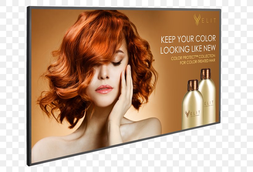 Beauty Parlour Planar Systems Display Device Liquid-crystal Display Computer Monitors, PNG, 800x558px, Beauty Parlour, Advertising, Artificial Hair Integrations, Brand, Brown Hair Download Free