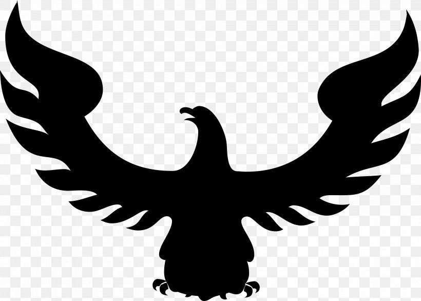 Bird Eagle Hawk Falcon Clip Art, PNG, 4000x2862px, Bird, Accipitriformes, Accipitrinae, Animal, Bald Eagle Download Free