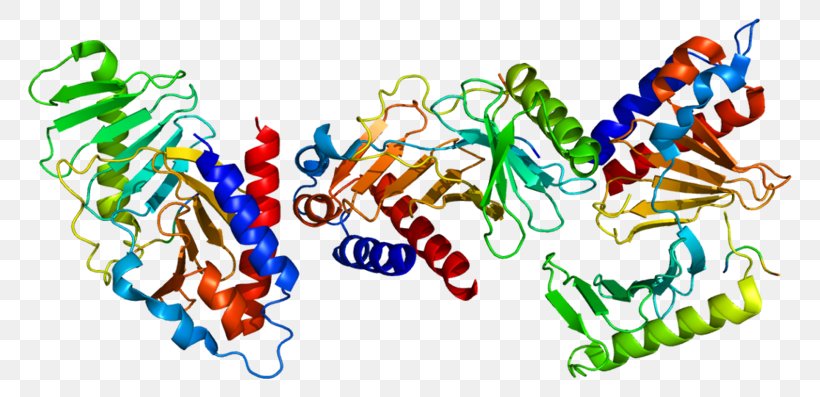 PLK1 Polo-like Kinase Protein Amino Acid Structure, PNG, 800x397px, Plk1, Amino Acid, Centrosome, Crystal Structure, Cyclindependent Kinase 1 Download Free