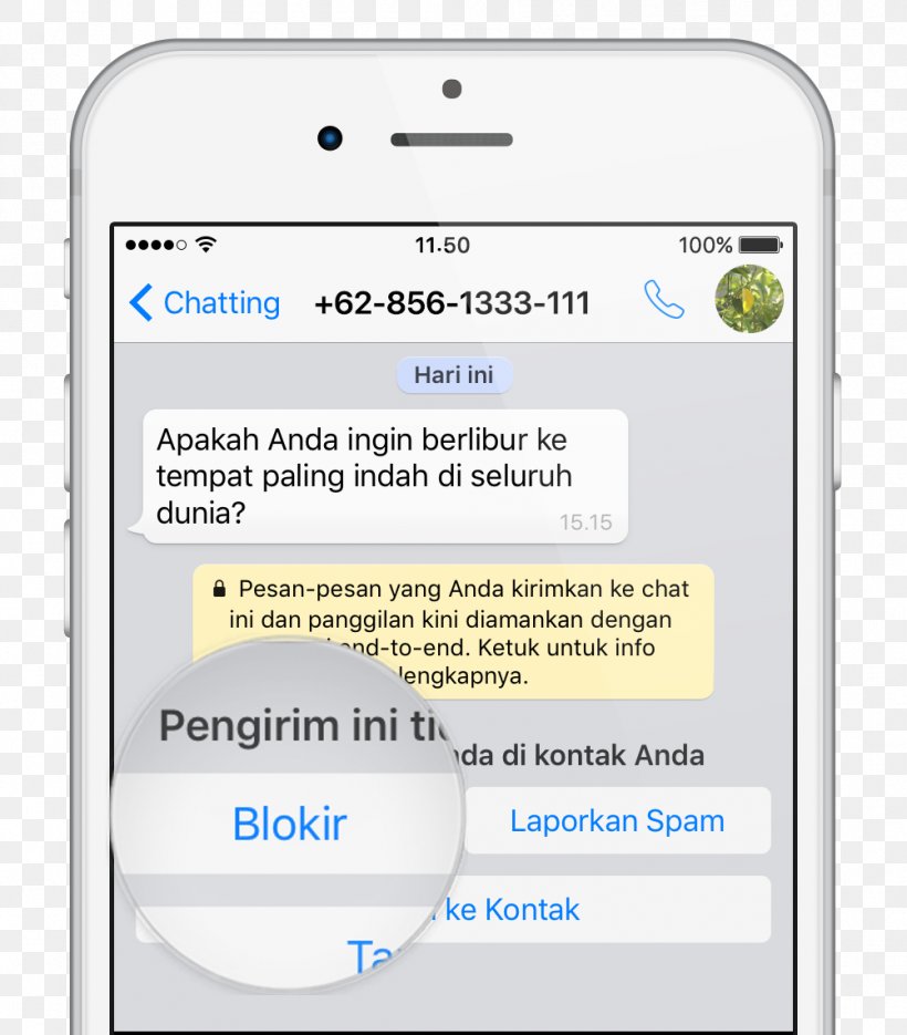 WhatsApp Web Page SMS User, PNG, 1002x1143px, Whatsapp, Area, Diagram, Document, Iphone Download Free