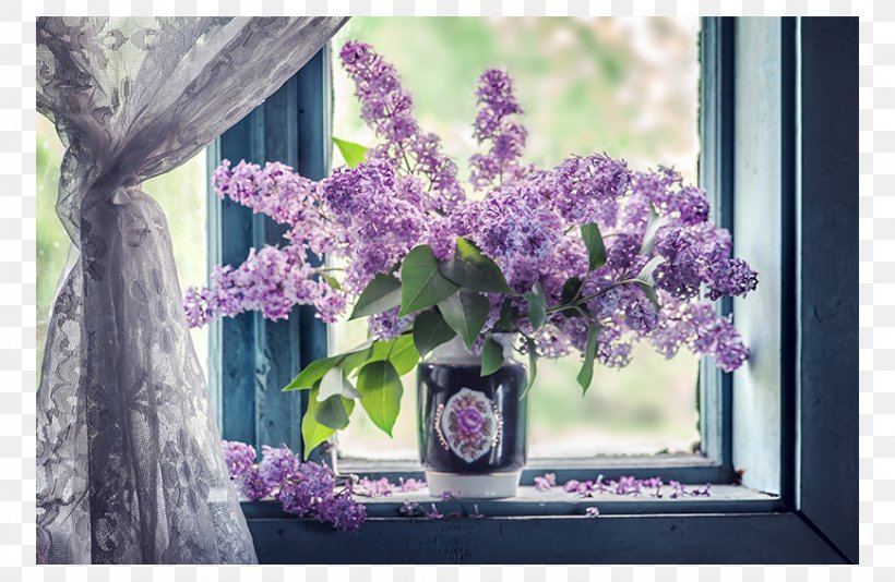 Window Sill Curtain Flower Lilac, PNG, 870x567px, Window, Awning, Bedroom, Chambranle, Curtain Download Free