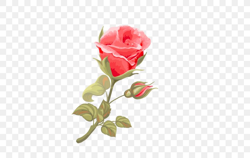 Beach Rose Red Pink Illustration, PNG, 515x519px, Beach Rose, Bud, Color, Cut Flowers, Floral Design Download Free