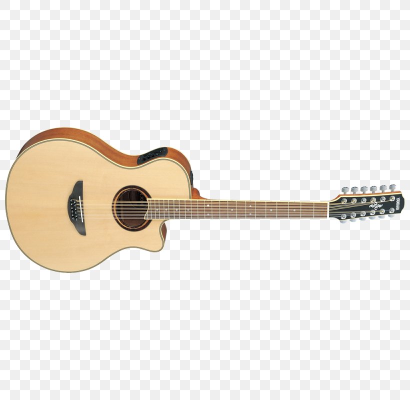 Classical Guitar Cort Guitars Acoustic Guitar Dreadnought Electric Guitar, PNG, 800x800px, Watercolor, Cartoon, Flower, Frame, Heart Download Free