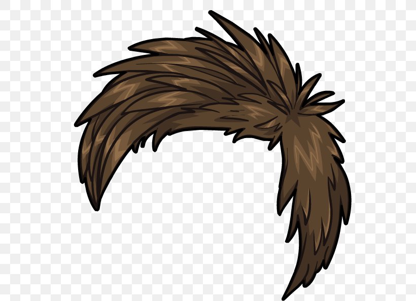 Club Penguin Hair Wig Feather, PNG, 569x593px, Club Penguin, Animaatio, Beak, Bird, Bird Of Prey Download Free