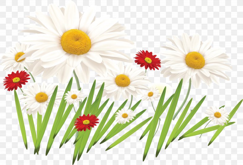 Flower Of The Fields Drawing Painting Flower Bouquet, PNG, 4990x3392px, Flower Of The Fields, Art, Blue, Chamaemelum Nobile, Chrysanths Download Free