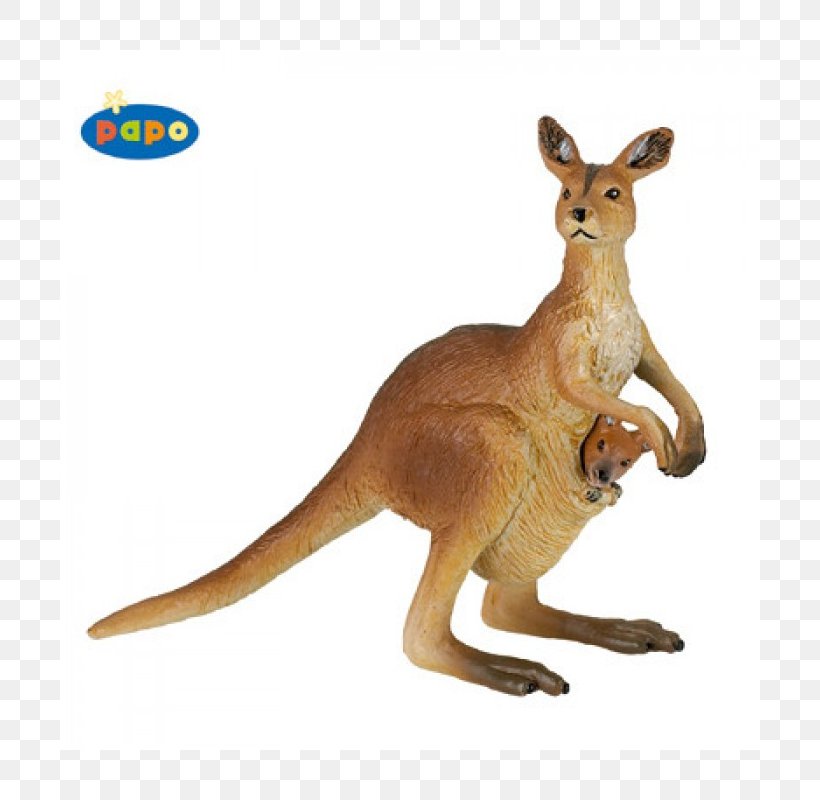 Kangaroo Papo Toy Macropods Figurine, PNG, 800x800px, Kangaroo, Action Toy Figures, Animal, Animal Figure, Child Download Free