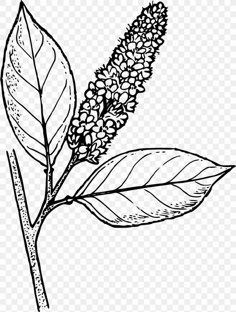 Line Art Drawing Clip Art, PNG, 1813x2400px, Line Art, Architecture, Area, Artwork, Black And White Download Free