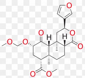 Salvinorin A Sage Of The Diviners Salvinorin B Methoxymethyl Ether ...