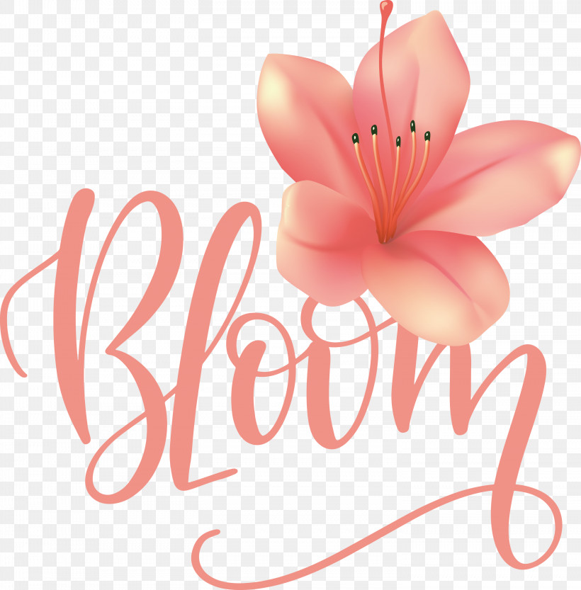 Bloom Spring, PNG, 2952x3000px, Bloom, Cut Flowers, Data, Flower, Greeting Card Download Free