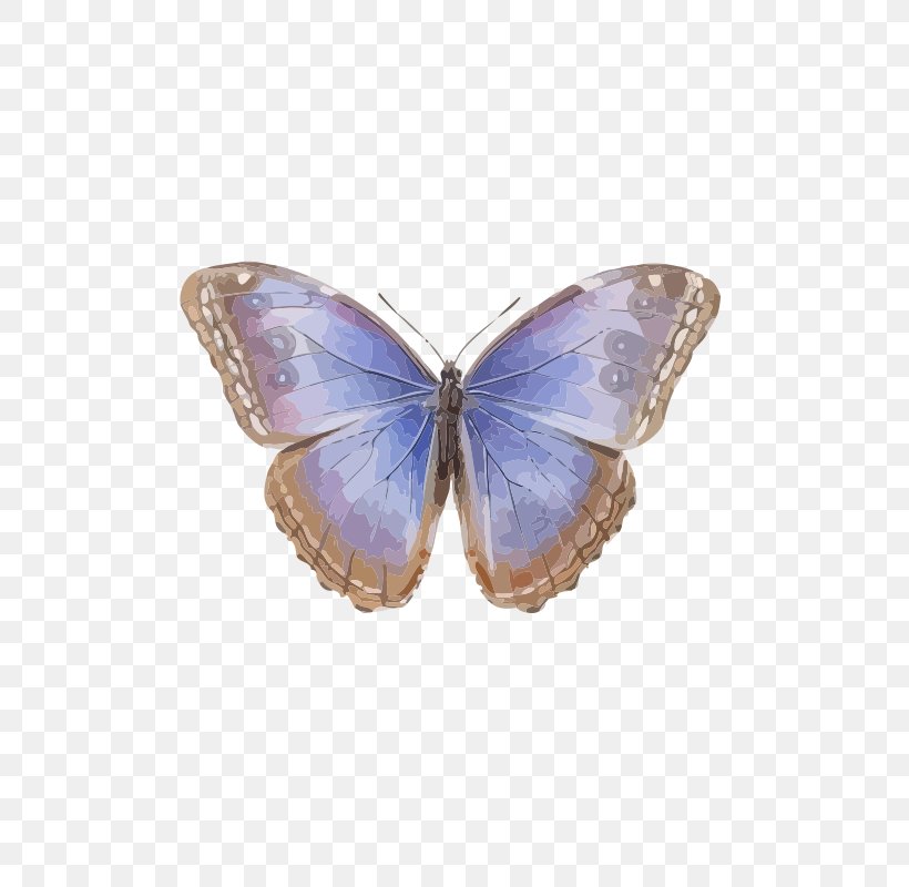 Brush-footed Butterflies Butterfly Common Blue Morpho Menelaus Blue Morpho, PNG, 566x800px, Brushfooted Butterflies, Blue, Blue Morpho, Brush Footed Butterfly, Butterflies And Moths Download Free