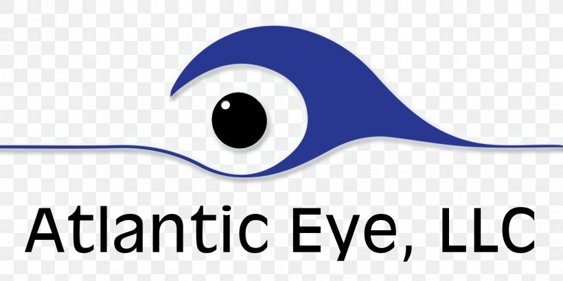 Human Eye Eye Care Professional Eye Color, PNG, 1650x825px, Eye, Artwork, Atlantic Eye, Beak, Blue Download Free