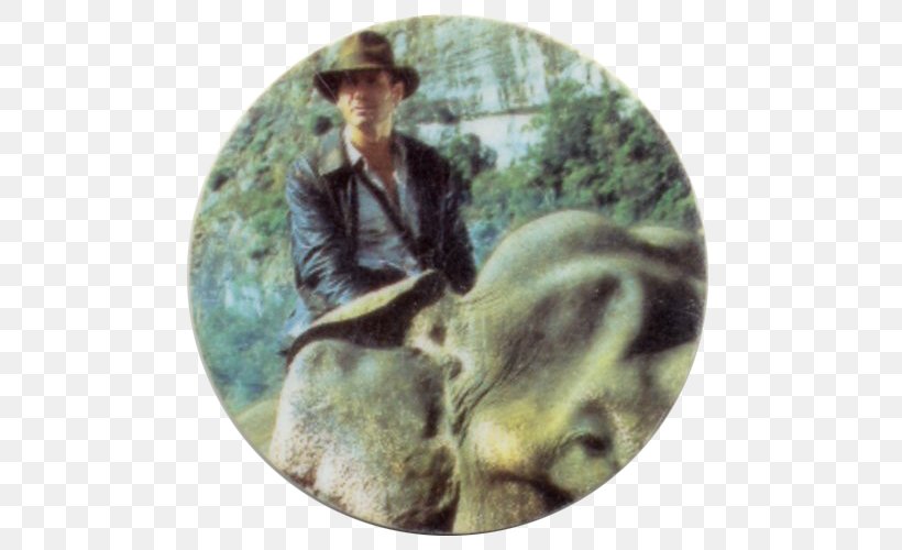 Indiana Jones Film Director Actor Adventure Film, PNG, 500x500px, Indiana Jones, Actor, Adventure Film, Fauna, Film Download Free