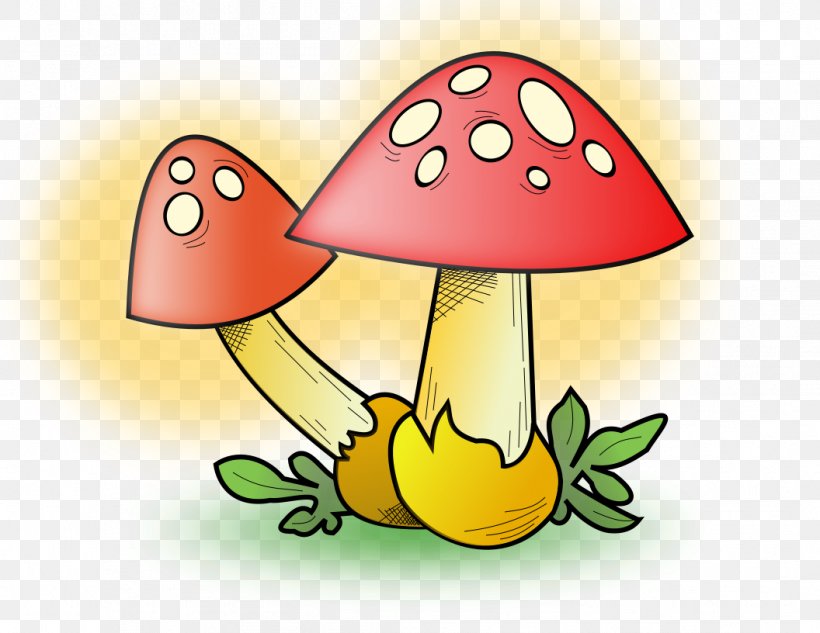 Mushroom Clip Art Fungus Cartoon Illustration, PNG, 1056x816px, Mushroom, Cartoon, Chanterelle, Common Mushroom, Drawing Download Free