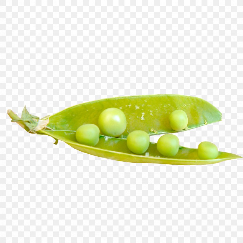 Pea Bean Salad, PNG, 2362x2362px, Pea, Bean, Blog, Broad Bean, Common Bean Download Free