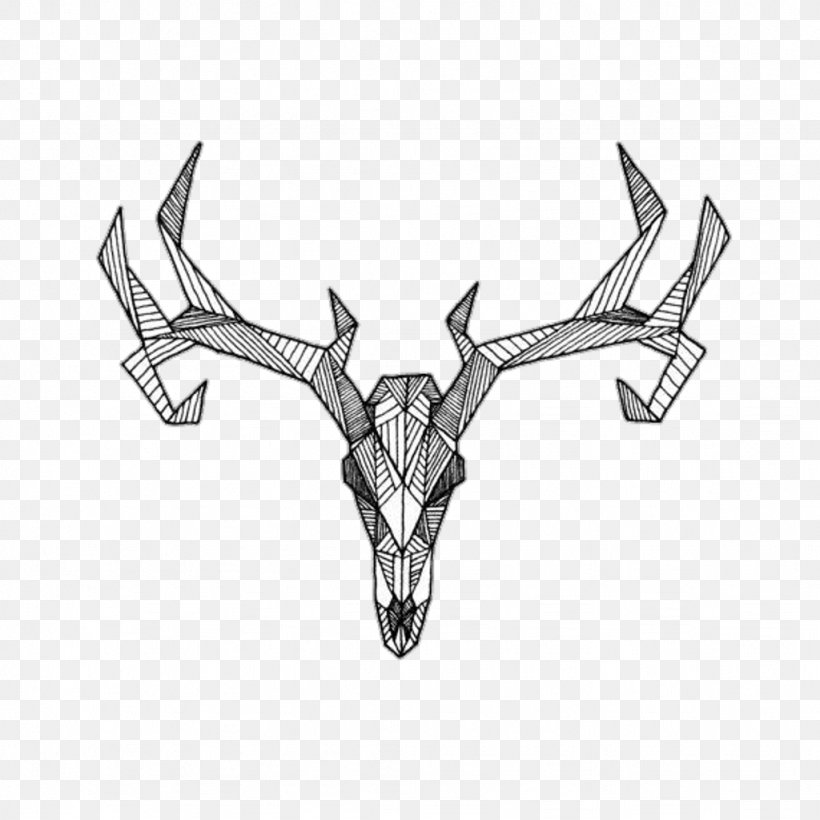 White-tailed Deer Antler Moose Red Deer, PNG, 1024x1024px, Deer, Antler, Automotive Design, Black And White, Drawing Download Free