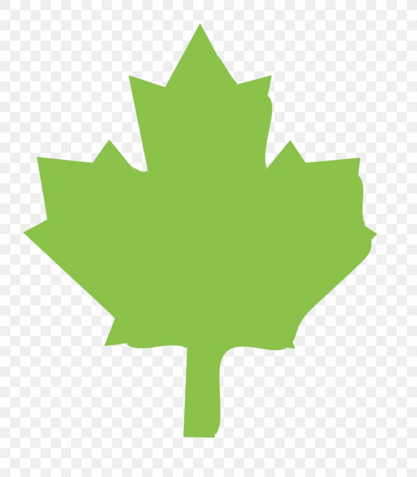 Maple Leaf, PNG, 896x1024px, Leaf, Black Maple, Green, Maple, Maple Leaf Download Free