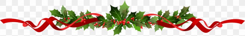 Poinsettia Drawing Clip Art, PNG, 5146x777px, Poinsettia, Bell Peppers And Chili Peppers, Bird S Eye Chili, Christmas, Christmas Decoration Download Free