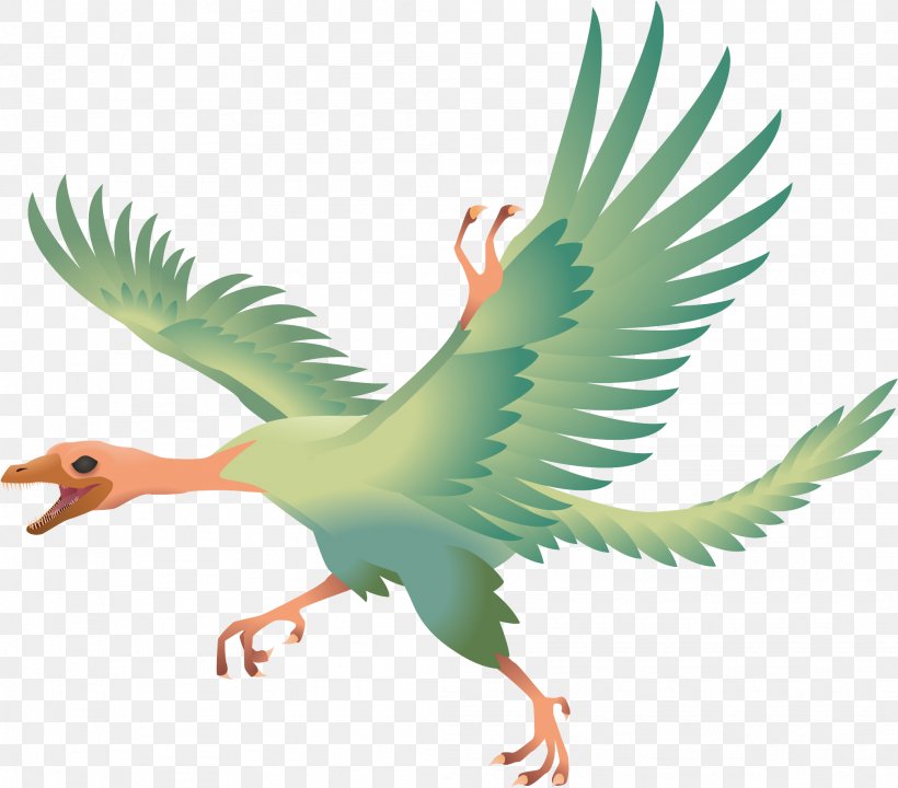 Archaeopteryx Bird Compsognathus Jeholornis Dinosaur, PNG, 2084x1831px, Archaeopteryx, Art, Beak, Bird, Chicken Download Free
