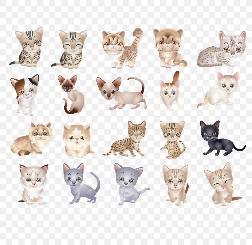 Cat Kitten Icon, PNG, 800x800px, Cat, Carnivoran, Cartoon, Cat Like Mammal, Kitten Download Free