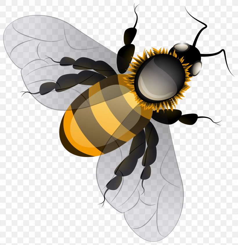 Honey Bee Clip Art, PNG, 2907x3000px, Bee, Arthropod, Beehive, Bumblebee, Fly Download Free