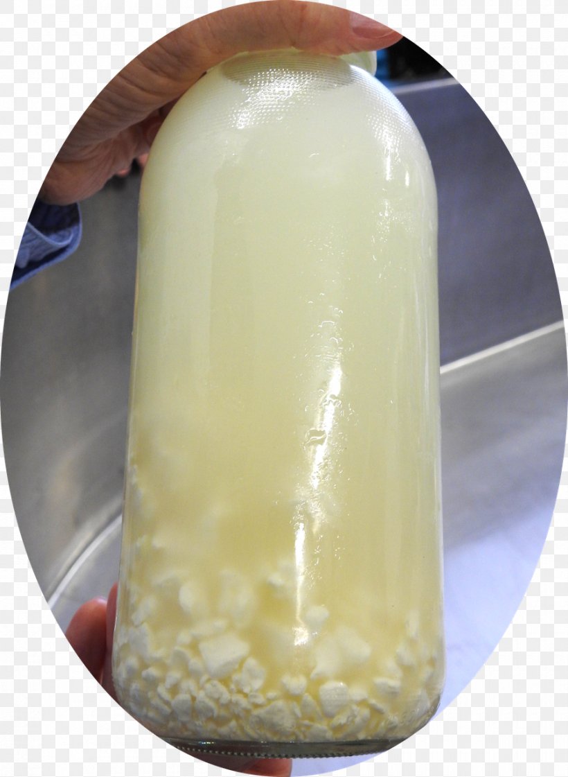Milk Whey Curd Cheese Yoghurt, PNG, 900x1231px, Milk, Cheese, Chemical Substance, Curd, Gallon Download Free