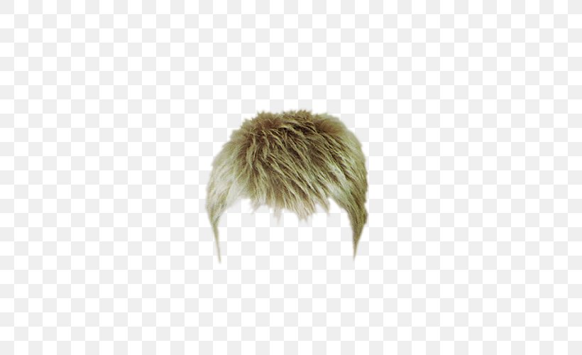 Wig Hairstyle, PNG, 509x500px, Wig, Feather, Fur, Hair, Hairstyle Download Free