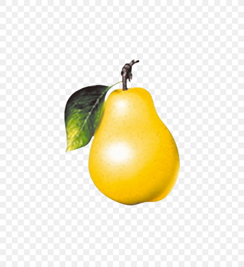 Fruit Pear Vegetable Apple, PNG, 800x900px, Fruit, Apple, Citron, Citrullus Lanatus, Citrus Download Free