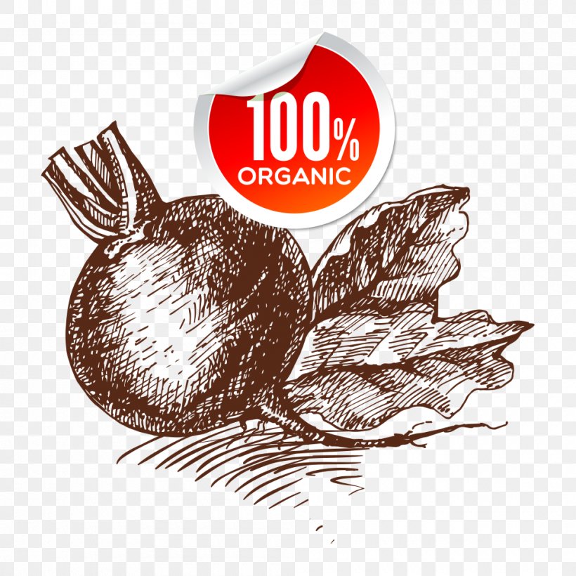 Organic Food Vegetable Onion, PNG, 1000x1000px, Organic Food, Brand, Cabbage, Carrot, Drawing Download Free