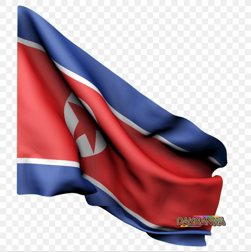 Pyongyang Flag Of South Korea Flag Of North Korea, PNG, 1275x1280px, Pyongyang, Blue, Cobalt Blue, Country, Electric Blue Download Free