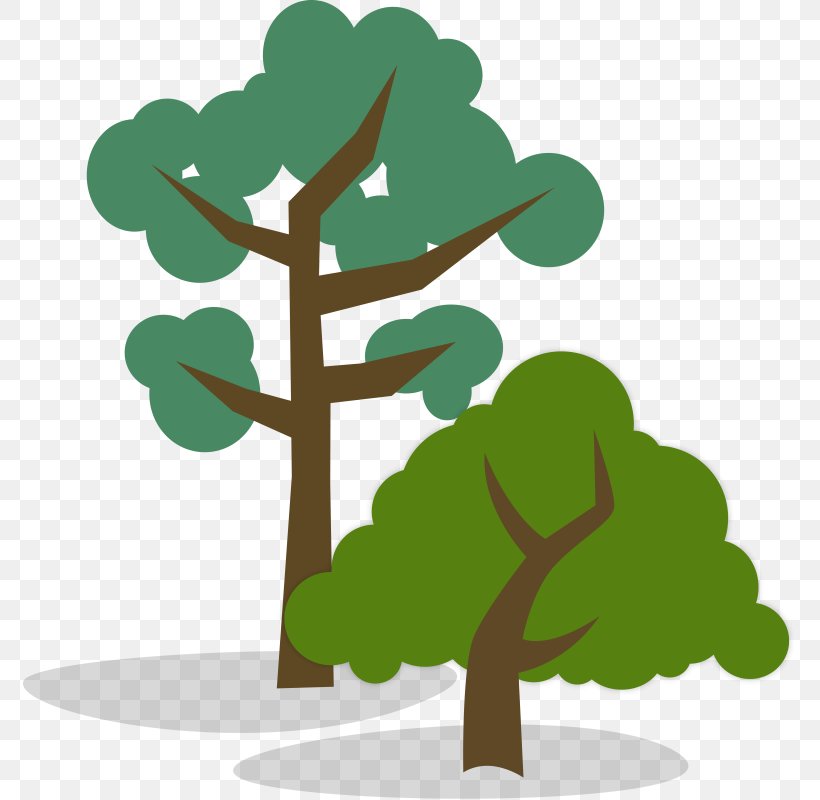 Tree Woody Plant Branch Clip Art, PNG, 774x800px, Tree, Animation, Arecaceae, Branch, Grass Download Free