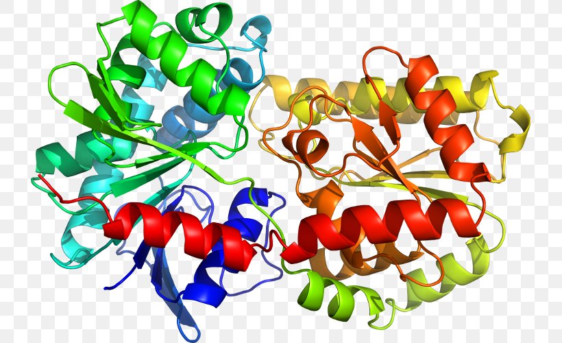 Tryptophan Synthase Structural Biology Toll-like Receptor Structure, PNG, 729x500px, Structural Biology, Biology, Crystallography, Food, Innate Immune System Download Free