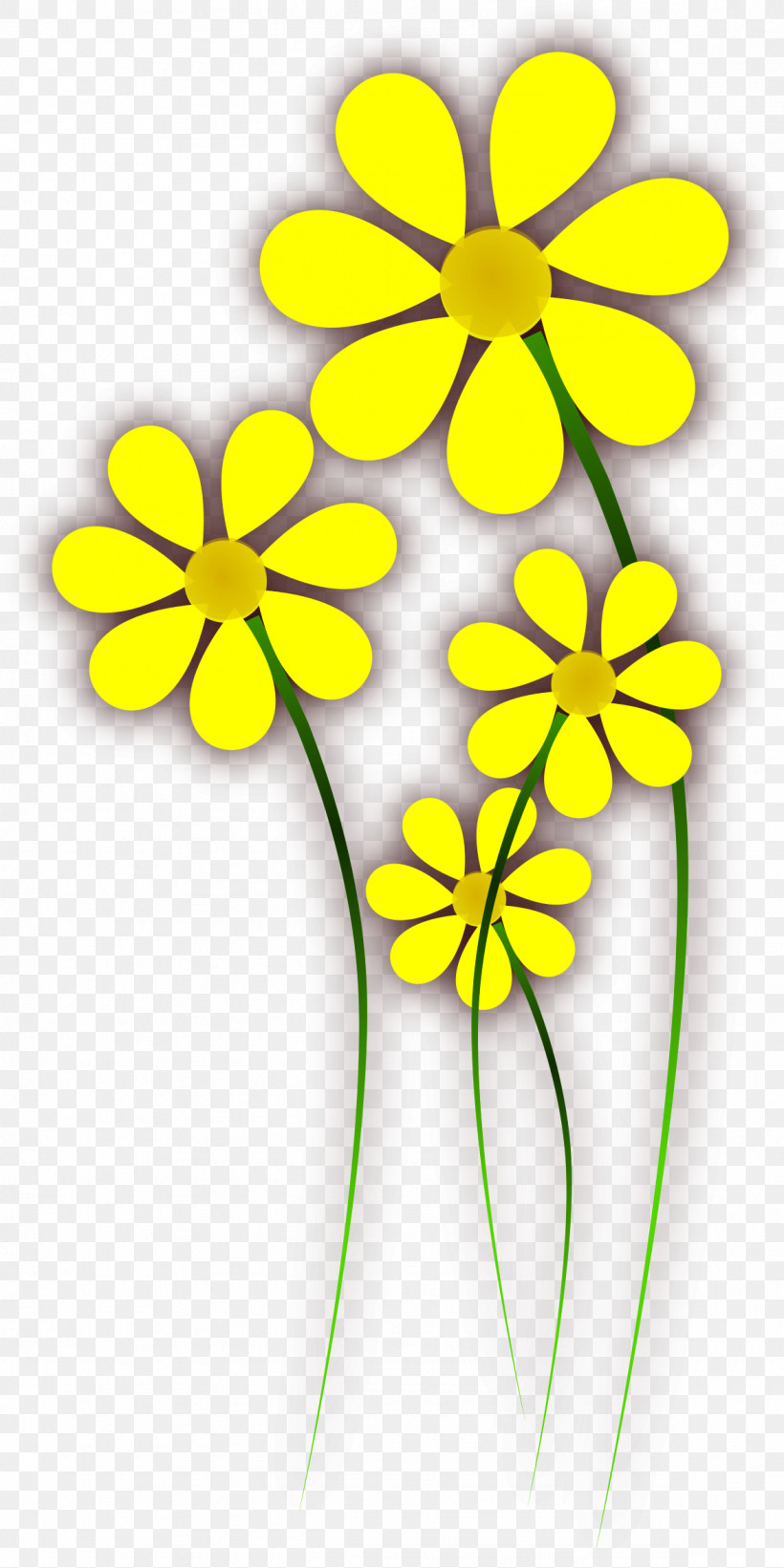 Yellow Flower Plant Petal Pedicel, PNG, 1176x2354px, Yellow, Flower, Pedicel, Petal, Plant Download Free