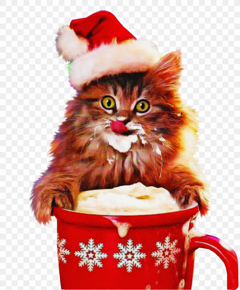 Cat Small To Medium-sized Cats Event Kitten Drinkware, PNG, 990x1200px, Cat, Christmas, Cup, Drinkware, Event Download Free