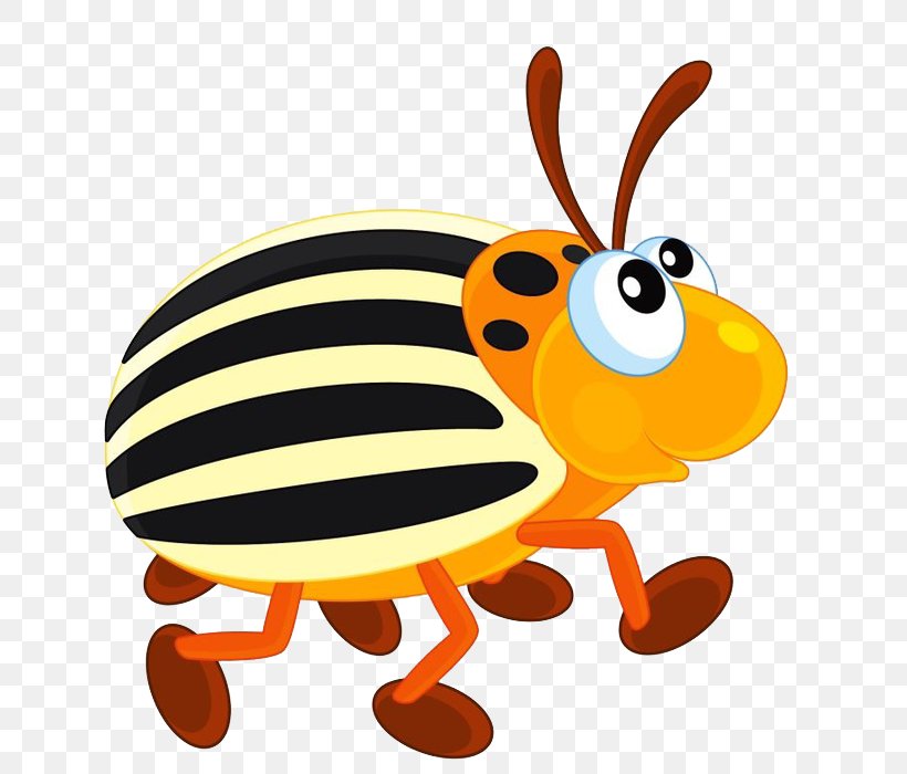 Colorado Potato Beetle Honey Bee Clip Art, PNG, 688x700px, Beetle, Bee, Cartoon, Colorado Potato Beetle, Digital Image Download Free