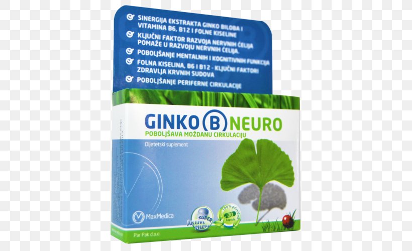 Ginkgo Biloba Dietary Supplement Neurology Headache Vitamin B-12, PNG, 500x500px, Ginkgo Biloba, Dietary Supplement, Extract, Folate, Grass Download Free