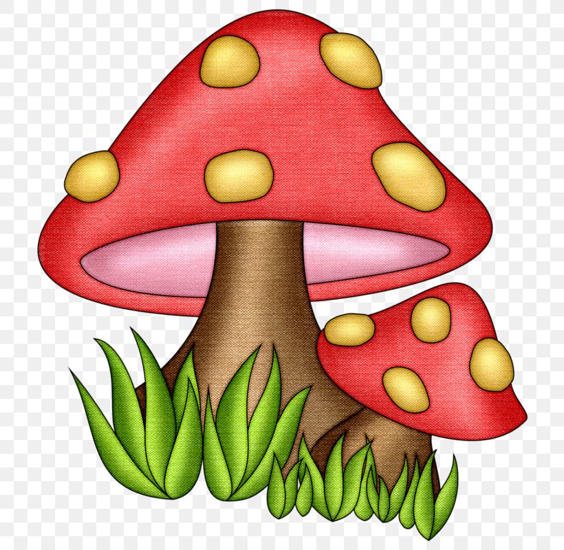 Mushroom Drawing Fungus Clip Art, PNG, 744x800px, Mushroom, Amphibian, Art, Cartoon, Drawing Download Free
