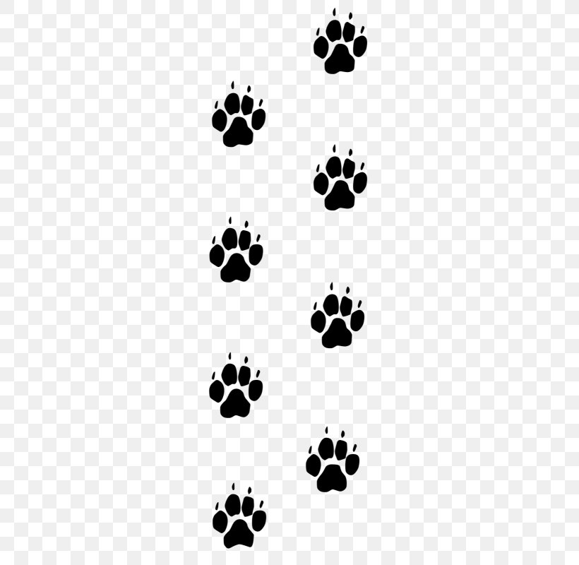 Paw Dog Cat Footprint Fox, PNG, 350x800px, Paw, Animal, Animal Track, Black, Black And White Download Free