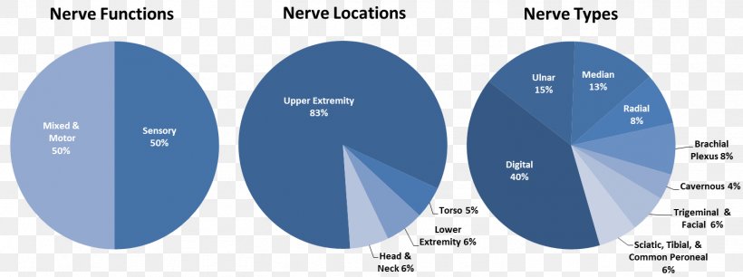 Peripheral Nerve Lesions Neuroregeneration Nerve Allograft Peripheral Nervous System, PNG, 1504x563px, Neuroregeneration, Axogen Inc, Brand, Cell, Central Nervous System Download Free