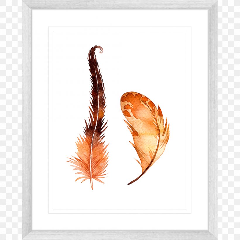 Picture Frames Feather Printing Color, PNG, 1000x1000px, Picture Frames, Clothing Sizes, Color, Feather, Leaf Download Free