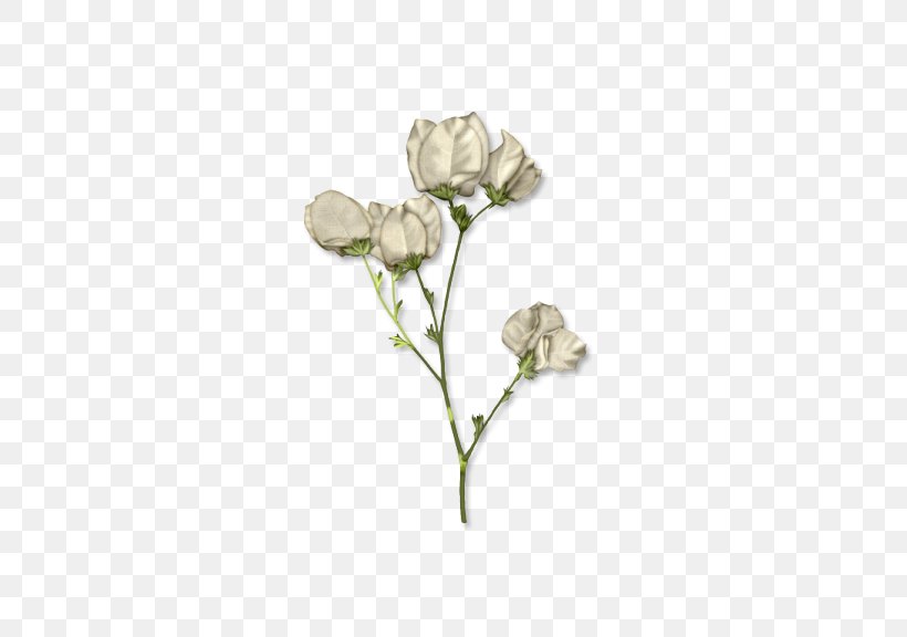 White TinyPic Clip Art, PNG, 576x576px, White, Beige, Black And White, Branch, Cut Flowers Download Free