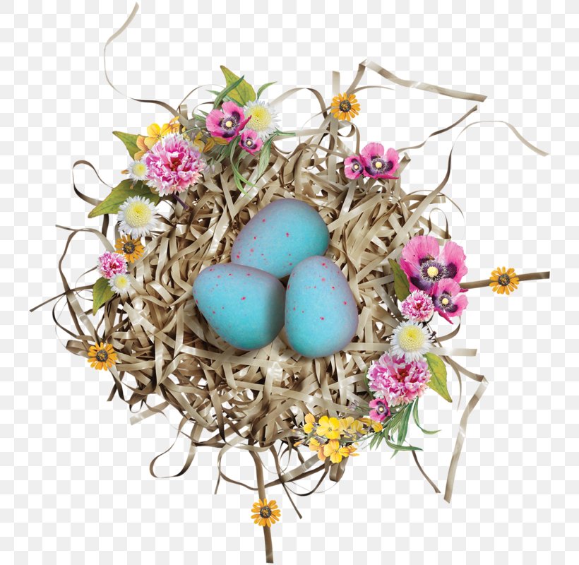 Bird Nest Birds And People Duck Egg, PNG, 742x800px, Bird, Artificial Flower, Bird Nest, Birds And People, Chicken Download Free