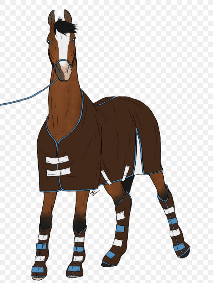 Mustang Rein Horse Harnesses Pony Bridle, PNG, 900x1197px, Mustang, Bit, Bridle, Equestrian, Equestrian Sport Download Free