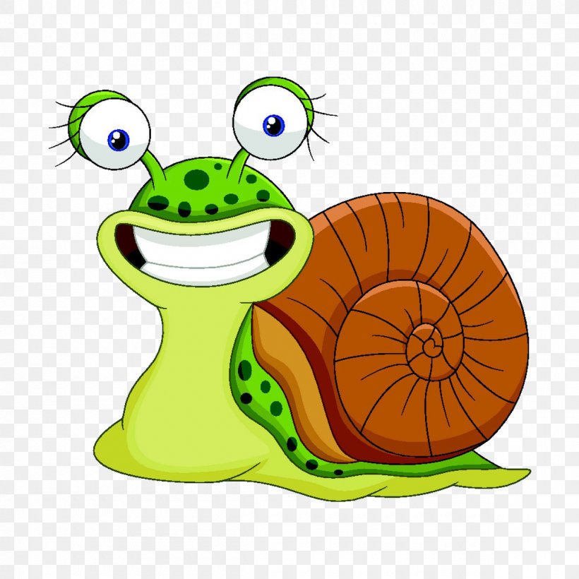 Snail Stock Illustration Clip Art, PNG, 1200x1200px, Snail, Amphibian, Can Stock Photo, Cartoon, Clip Art Download Free