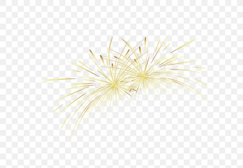 Yellow Gold Fireworks, PNG, 650x569px, Yellow, Fireworks, Gold, Petal Download Free