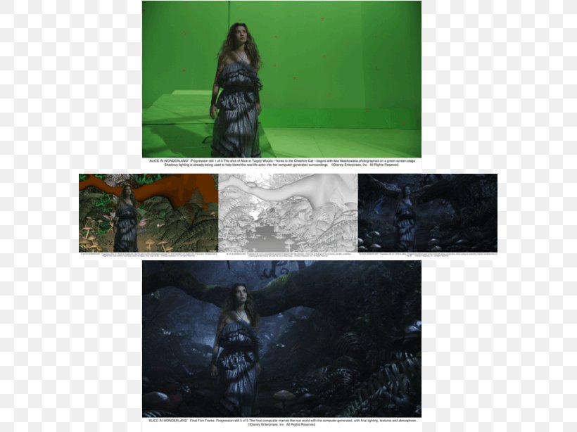 3D Film Indie Film Film Director, PNG, 595x614px, 3d Film, Alice In Wonderland, Cate Blanchett, Computer Animation, Film Download Free